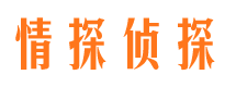 宁蒗市侦探公司